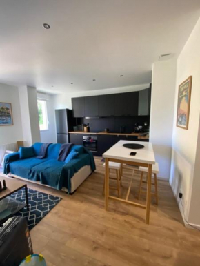 SUPERB apartment close to the sea in ARCACHON